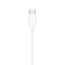 Apple USB-C Earpods