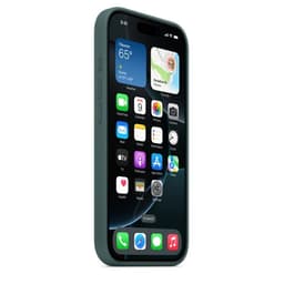 Apple Silicone Case with Magsafe for iPhone – Lake Green